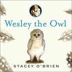 Wesley the Owl Lib/E: The Remarkable Love Story of an Owl and His Girl