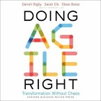 Doing Agile Right Lib/E: Transformation Without Chaos