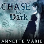 Chase the Dark Lib/E: Book One of the Steel & Stone Series