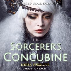 The Sorcerer's Concubine Lib/E - Dolamore, Jaclyn