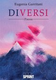 DiVersi (eBook, ePUB)