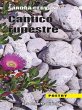 Cantico rupestre (eBook, ePUB) - Bild 1