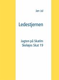 Ledestjernen (eBook, ePUB)