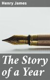 The Story of a Year (eBook, ePUB)