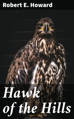 Hawk of the Hills (eBook, ePUB) - Howard, Robert E.