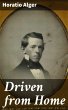 Driven from Home (eBook, ePUB) - Bild 1
