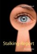 Stalking-Report (eBook, ePUB) - Bild 1