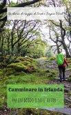 Camminare in Irlanda (eBook, ePUB)