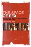 The Space of Sex (eBook, ePUB)