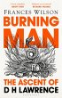 Burning Man (eBook, PDF) - Bild 1