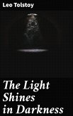 The Light Shines in Darkness (eBook, ePUB)