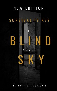 Blind Sky (eBook, ePUB) - S Gordon, Kerry