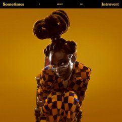 Sometimes I Might Be Introvert (Digipack) - Little Simz