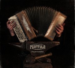 Pajavasara - Perttula