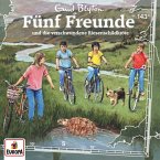 Fünf Freunde und die verschwundene Riesenschildkröte / Fünf Freunde Bd.143 (1 Audio-CD)