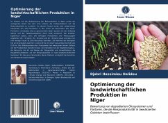 Optimierung der landwirtschaftlichen Produktion in Niger - Hassimiou Halidou, Djabri