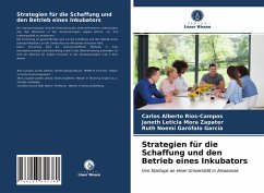 Strategien für die Schaffung und den Betrieb eines Inkubators - Rios-Campos, Carlos Alberto;Mora Zapater, Janeth Leticia;Garófalo García, Ruth Noemí