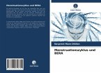 Menstruationszyklus und BERA