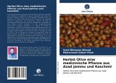 Herbst Olive eine medizinische Pflanze aus Azad Jammu und Kaschmir