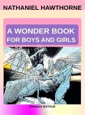 A WonderBook (eBook, ePUB)