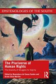 The Pluriverse of Human Rights: The Diversity of Struggles for Dignity (eBook, ePUB)