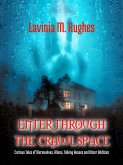 Enter Through the Crawlspace (eBook, ePUB)