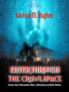 Enter Through the Crawlspace (eBook, ePUB) - Hughes, Lavinia M.