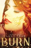 Burn (eBook, ePUB)