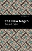 The New Negro (eBook, ePUB)