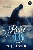 Risse im Eis (buch 5) (eBook, ePUB) Risse im Eis (buch 5) (eBook, ePUB)
