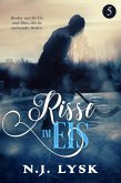 Risse im Eis (buch 5) (eBook, ePUB)