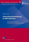 Unternehmensbewertung im IFRS-Abschluss (eBook, PDF)