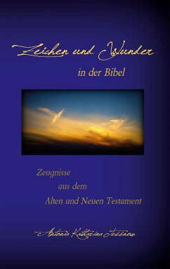 Zeichen und Wunder in der Bibel (eBook, ePUB) - Tessnow, Antonia Katharina
