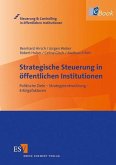 Strategische Steuerung in öffentlichen Institutionen (eBook, PDF)