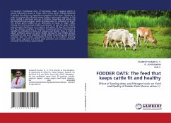 FODDER OATS: The feed that keeps cattle fit and healthy
