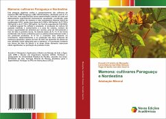 Mamona: cultivares Paraguaçu e Nordestina
