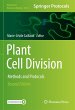 Plant Cell Division - Bild 1