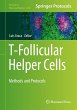 T-Follicular Helper Cells - Bild 1