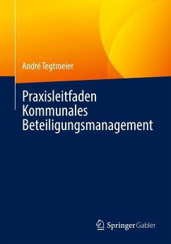 Praxisleitfaden Kommunales Beteiligungsmanagement - Tegtmeier, André