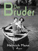 Der Bruder (eBook, ePUB)