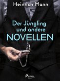 Der Jüngling und andere Novellen (eBook, ePUB)