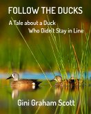 Follow the Ducks (eBook, ePUB)