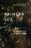 Primera luz (eBook, ePUB)