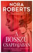 A bosszú csapdájában (eBook, ePUB) - Bild 1