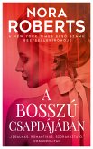 A bosszú csapdájában (eBook, ePUB)