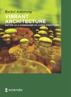 Vibrant Architecture (eBook, ePUB) - Armstrong, Rachel