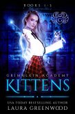 Grimalkin Academy: Kittens Books 1-3 (The Obscure World, #3) (eBook, ePUB)