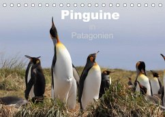 Pinguine in Patagonien (Tischkalender 2022 DIN A5 quer)