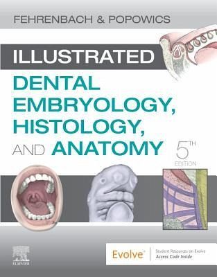 Illustrated Dental Embryology, Histology, and Anatomy Illustrated Dental Embryology, Histology, and Anatomy