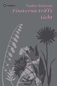 Finsternis trifft Licht (eBook, ePUB) - Schiwnak, Nadine